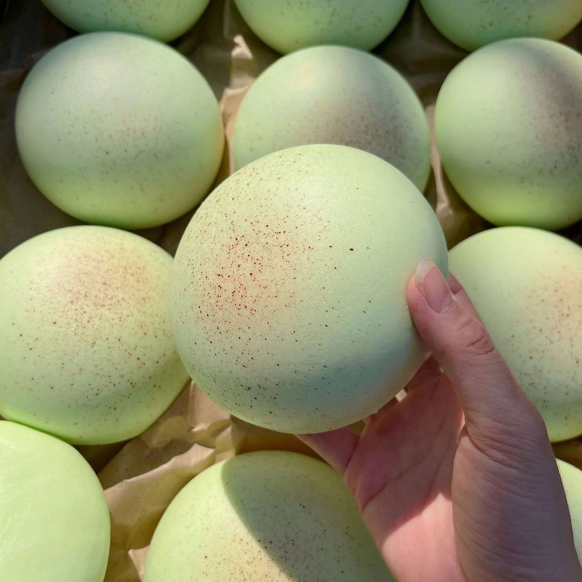 Daifuku Mochi Squishee